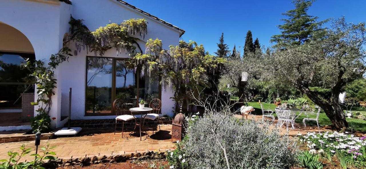 Roca Verde, Boutique Bed & Breakfast (Adults Only) アラウリン・デ・ラ・トレ エクステリア 写真