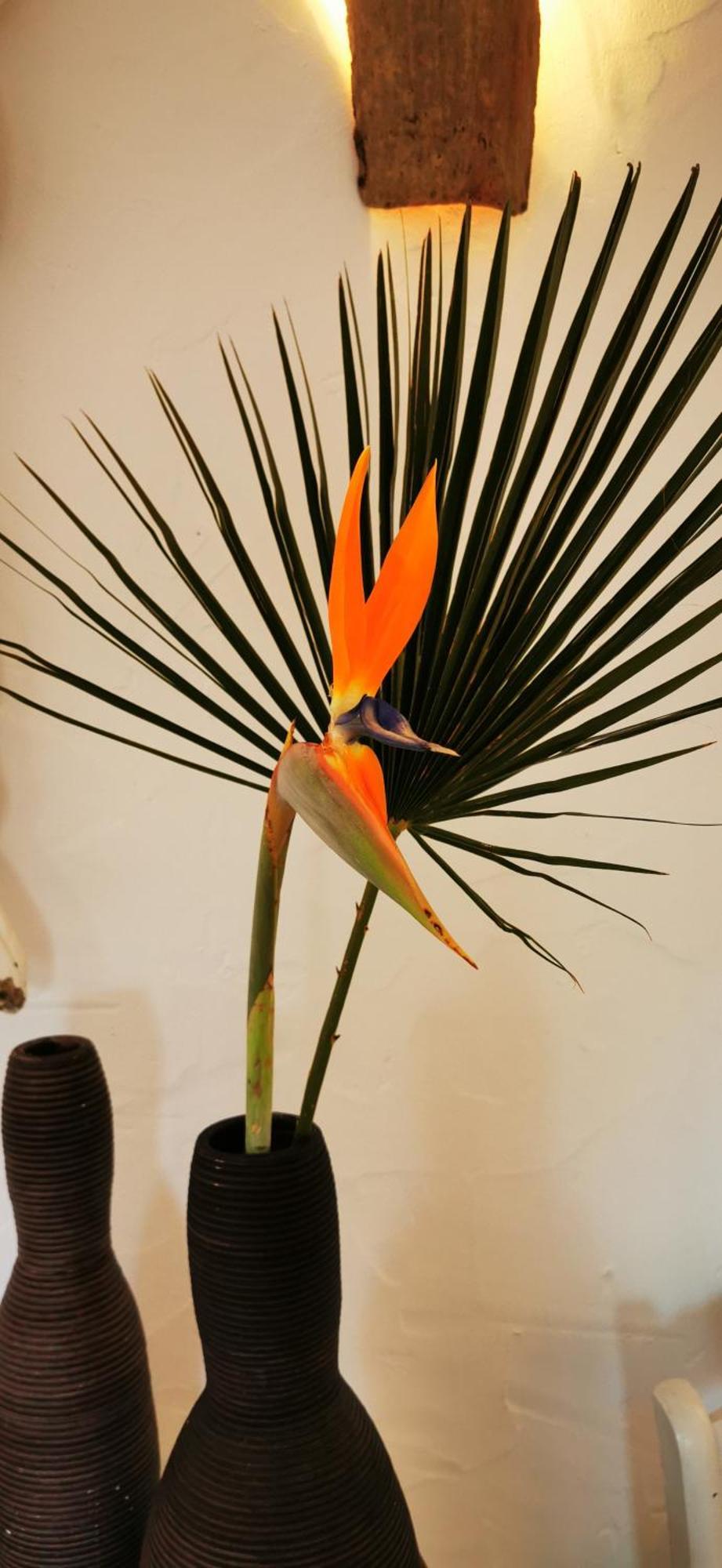 Roca Verde, Boutique Bed & Breakfast (Adults Only) アラウリン・デ・ラ・トレ 部屋 写真