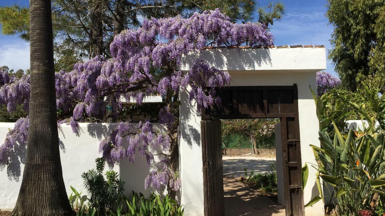 Roca Verde, Boutique Bed & Breakfast (Adults Only) アラウリン・デ・ラ・トレ エクステリア 写真
