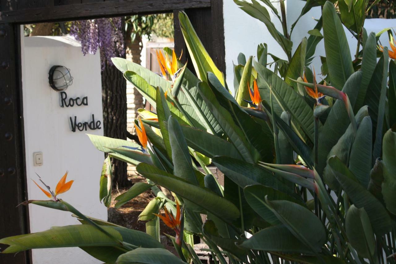 Roca Verde, Boutique Bed & Breakfast (Adults Only) アラウリン・デ・ラ・トレ エクステリア 写真