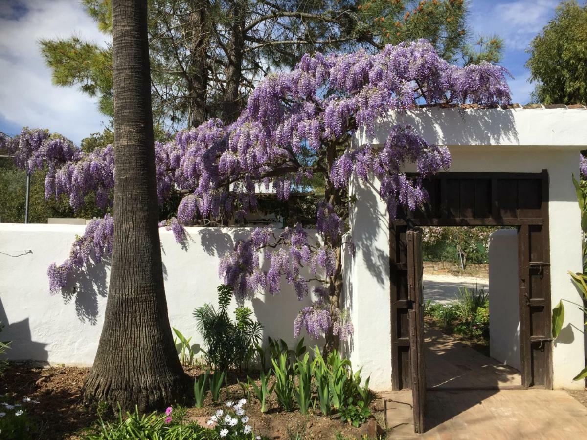 Roca Verde, Boutique Bed & Breakfast (Adults Only) アラウリン・デ・ラ・トレ エクステリア 写真