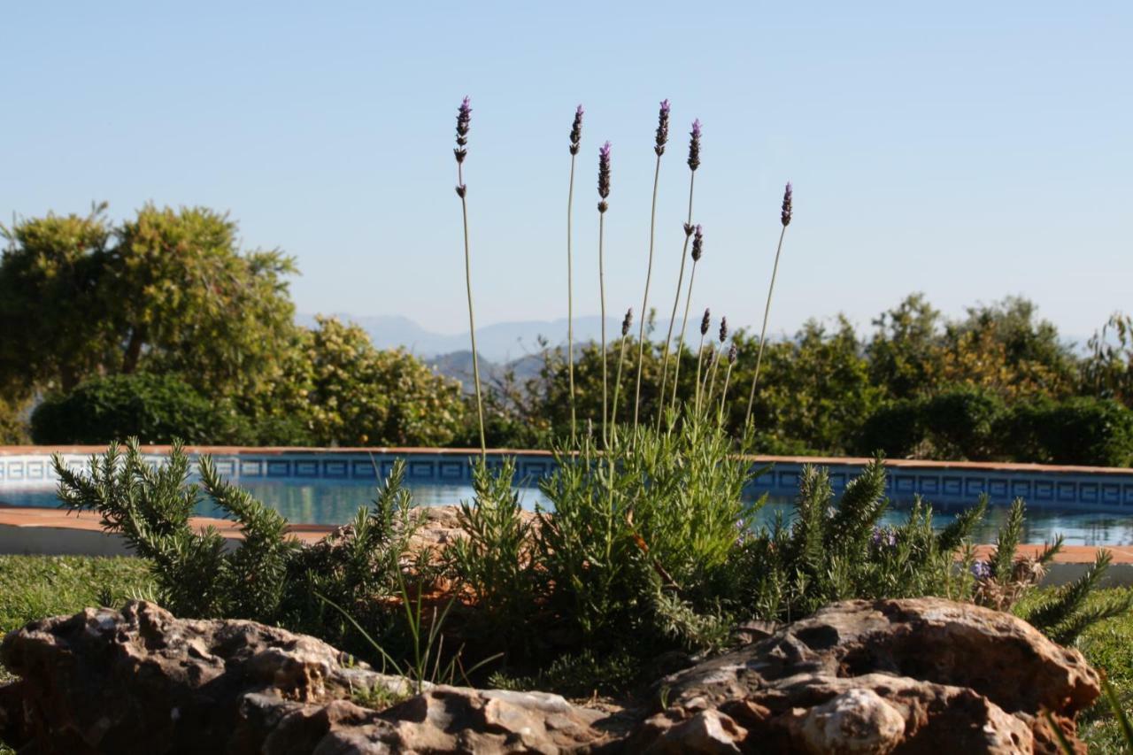 Roca Verde, Boutique Bed & Breakfast (Adults Only) アラウリン・デ・ラ・トレ エクステリア 写真